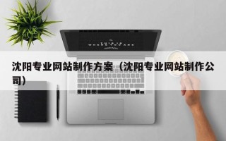 乐陵沈阳专业网站制作方案（沈阳专业网站制作公司）
